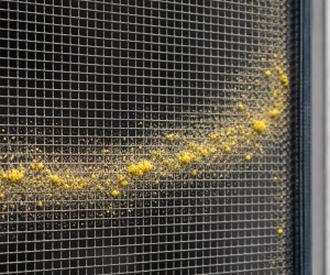 Антипыльца